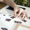 Make your Own Pressed Flower Art | Conscious Craft